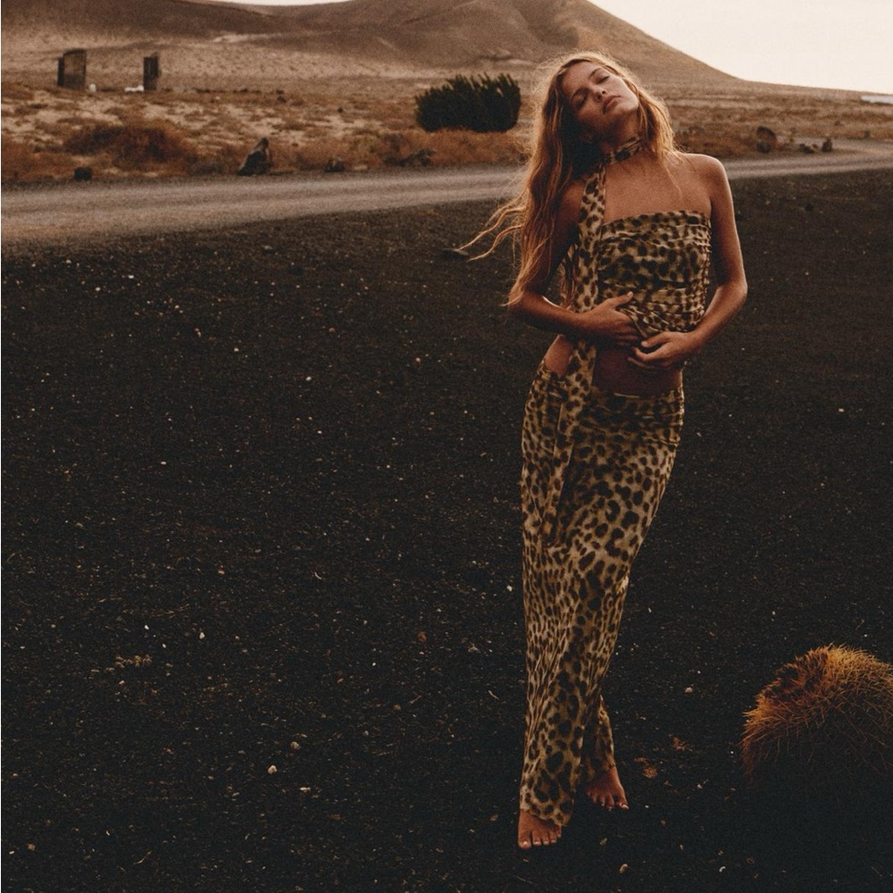 Zara Leopard Printed Tulle Skirt